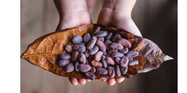 Gefermenteerde-cacao-bonen-melaya-cacao