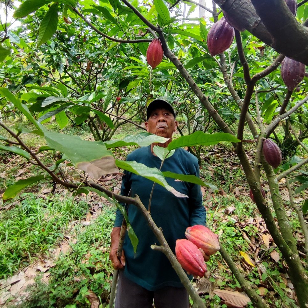 Bali-cacao-boeren.jpg